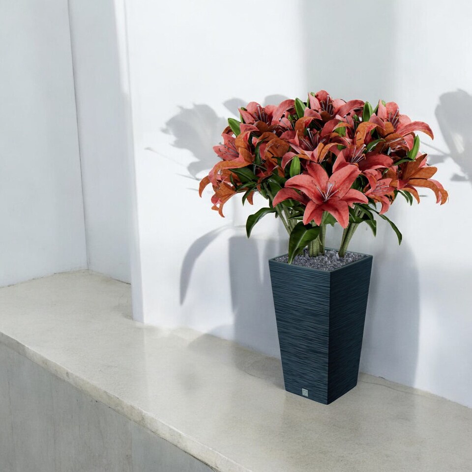 image 1 of FURU Square Tall Planters with Inserts - 38x20x20 cm | Black | 1