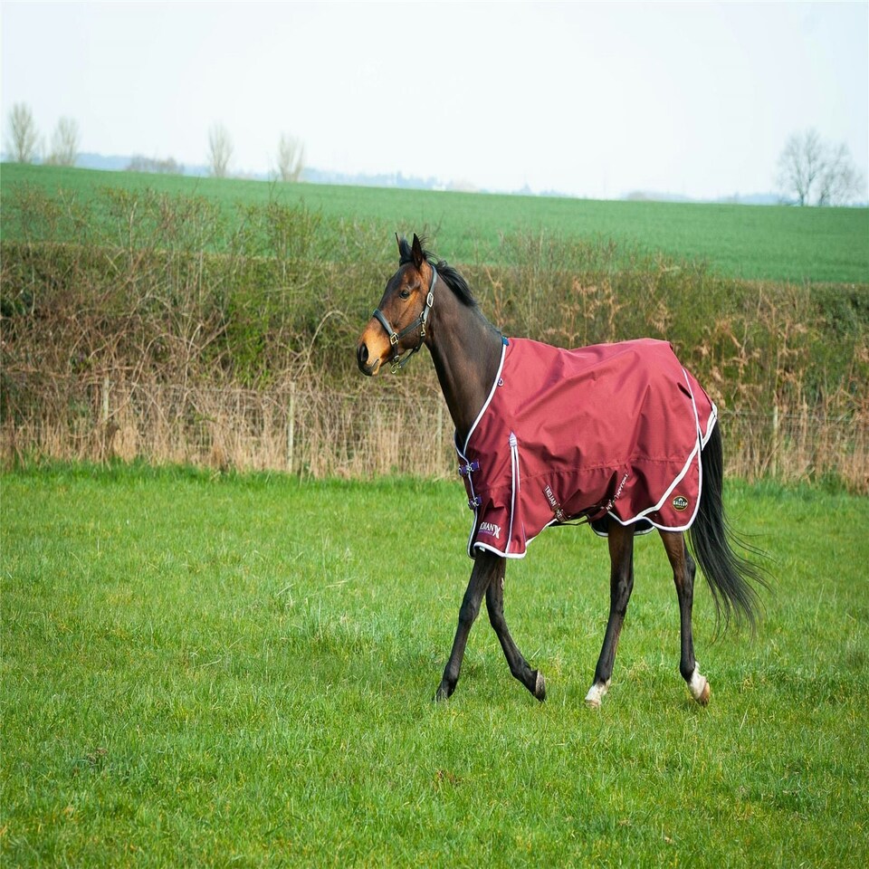 image 1 of Gallop Equestrian Trojan Light Weight Turnout Rug Blue | Size: 6ft 3
Colour: Navy Blue