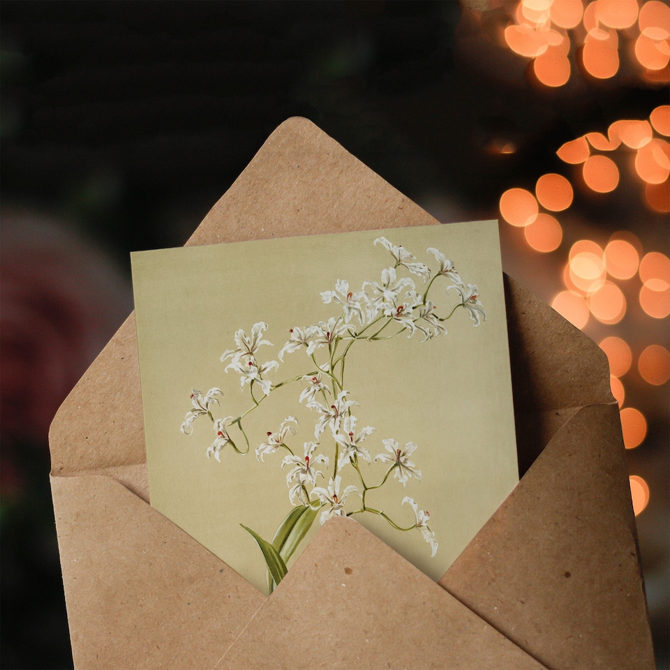 image 1 of Frederick Sander Odontoglossum Ramosissimum Orchid Art Greeting Card