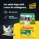 image 2 of Josera Adult Festival complete dog food | For fussy dogs | Feed dry or wet for delicious gravy | Chicken & Salmon | All breed sizes | 3kg