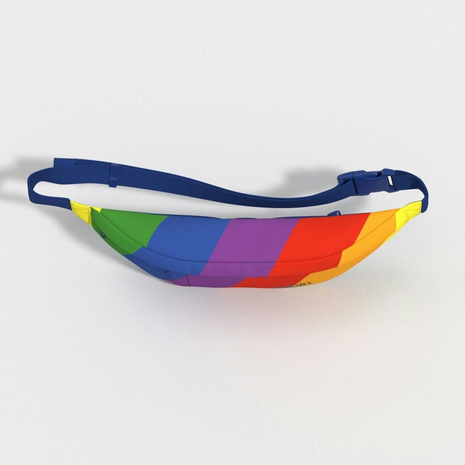 image 1 of Bum Bag 2L LGBTQ+ Multi