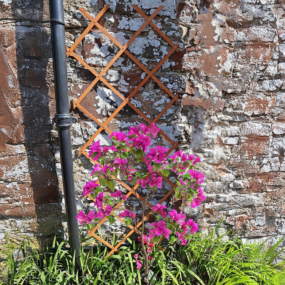 image 1 of Actiasgear 5ft Wooden Expandable Trellis | 3pcs Garden Fence & Plant Support Panels