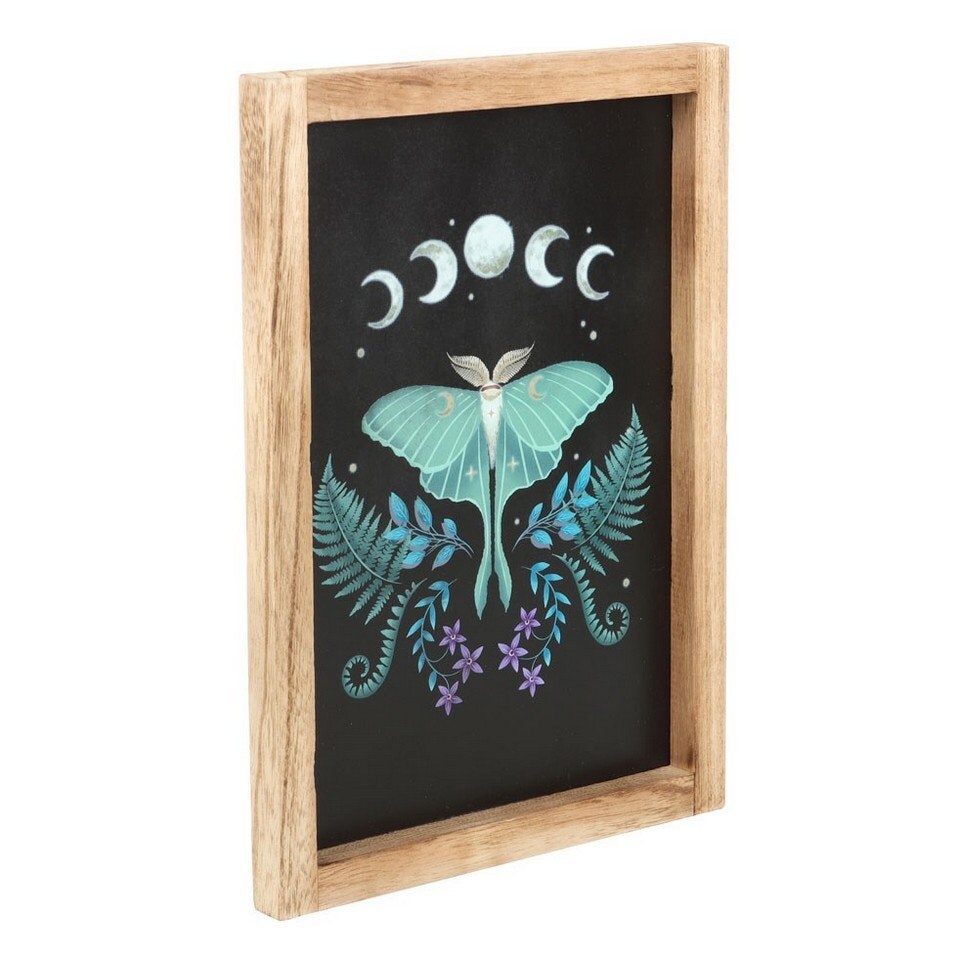 image 1 of Something Different Wooden Luna Moth Framed Poster - Black/Purple/Green - One Size