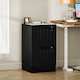 image 1 of HOMCOM 2 Drawer File Cabinet with Lock, Vertical Filing Cabinet with Adjustable Hanging Bars for A4 and Letter Size File Folders, Printer Stand with Storage, Black | Black