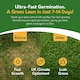 image 3 of Pronto Seed Grass Seed 1.4KG Premium Quality 84m2 Coverage for Overseeding, Fast Growing & Hard Wearing Lawn Seed, Defra Approved