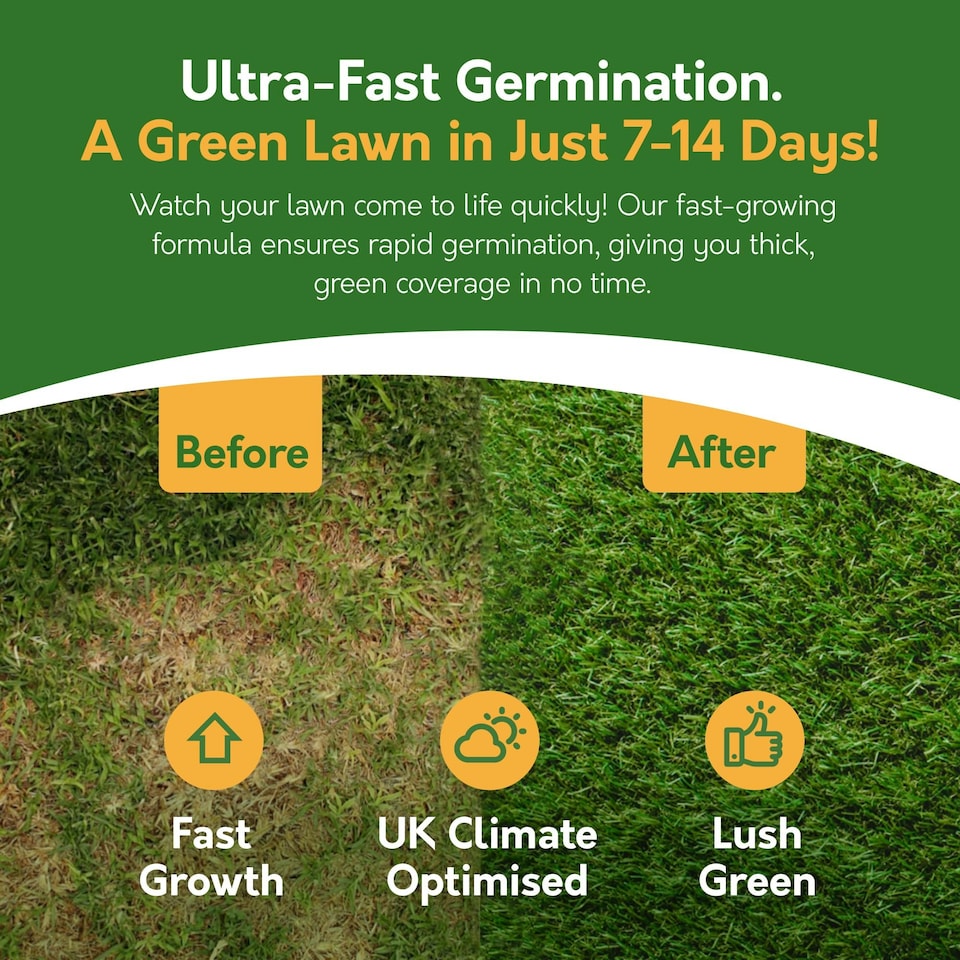 image 1 of Pronto Seed Grass Seed 1.4KG Premium Quality 84m2 Coverage for Overseeding, Fast Growing & Hard Wearing Lawn Seed, Defra Approved