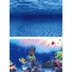 image 2 of Superfish Deco Poster F (Sea/Reef) N/A | 60cm x 49cm