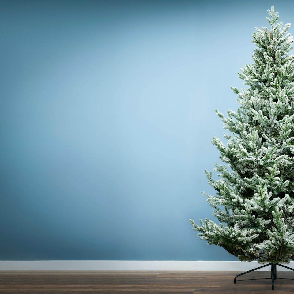 image 1 of Christmas Tree World  7ft/210cm Frosted Ultra Mountain Pine