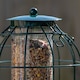 image 3 of Samuel Alexander Metal Hanging Bird Seed Feeder with Squirrel Guard