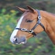 image 1 of Shires Blenheim Fully Adjustable Leather Headcollar Black | Size: Yearling
Colour: Black
