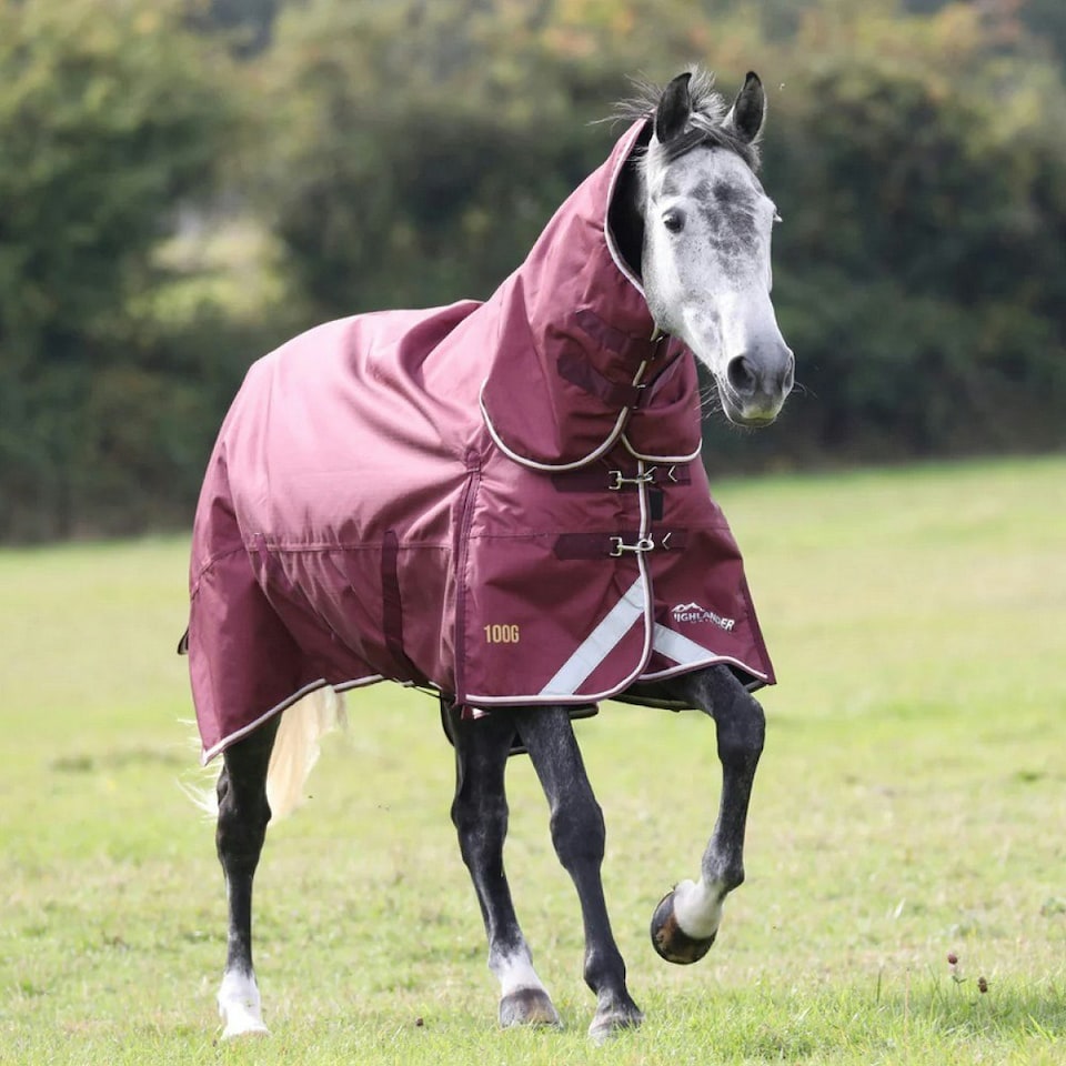image 1 of Highlander Plus Combo Neck 100g Horse Turnout Rug - Maroon - 6´ 9"