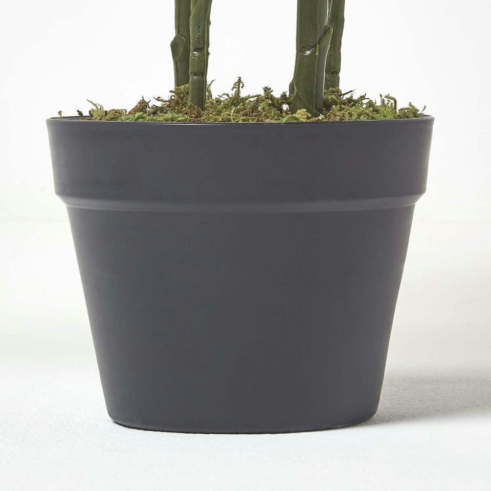 image 1 of Homescapes Areca Palm Tree in Pot, 120 cm Tall