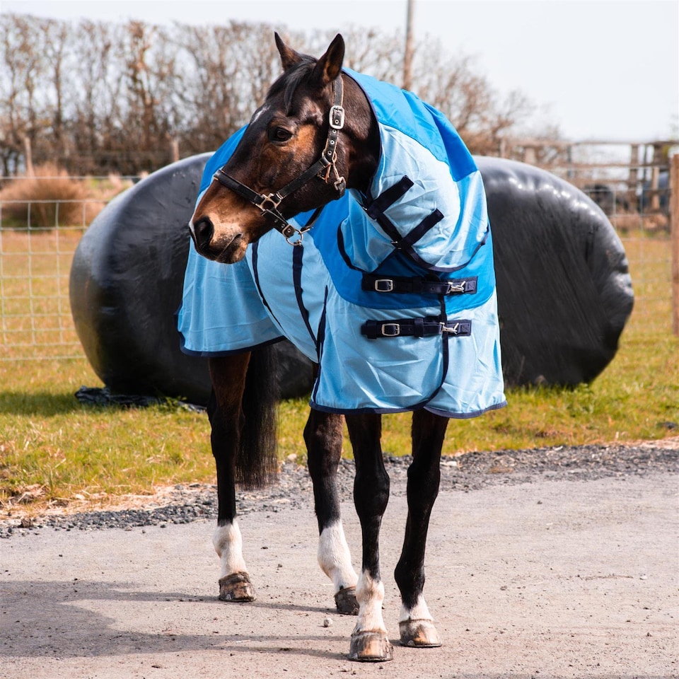 image 1 of eQuitack 600D 2 in 1 Waterproof Fly Turnout Mesh Horse Rug Fixed Neck Blue/Light Blue 6'6''