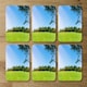 image 2 of Beauty landscape of grass field with forest trees and environment public park with sun rays (Coaster)