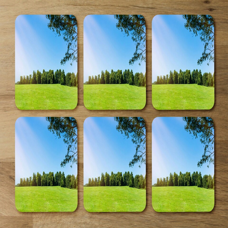 image 1 of Beauty landscape of grass field with forest trees and environment public park with sun rays (Coaster)