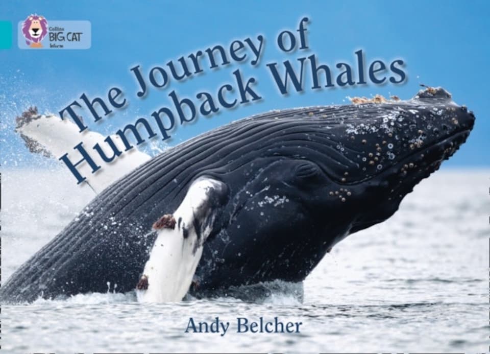 The Journey Of Humpback Whales