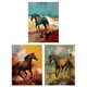 image 1 of Set of 3 Wild Horses Oil Paintings Galloping Wilderness Canada Wall Art Print A4