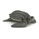 image 2 of PAPO Marine Life Leatherback Turtle Toy Figure