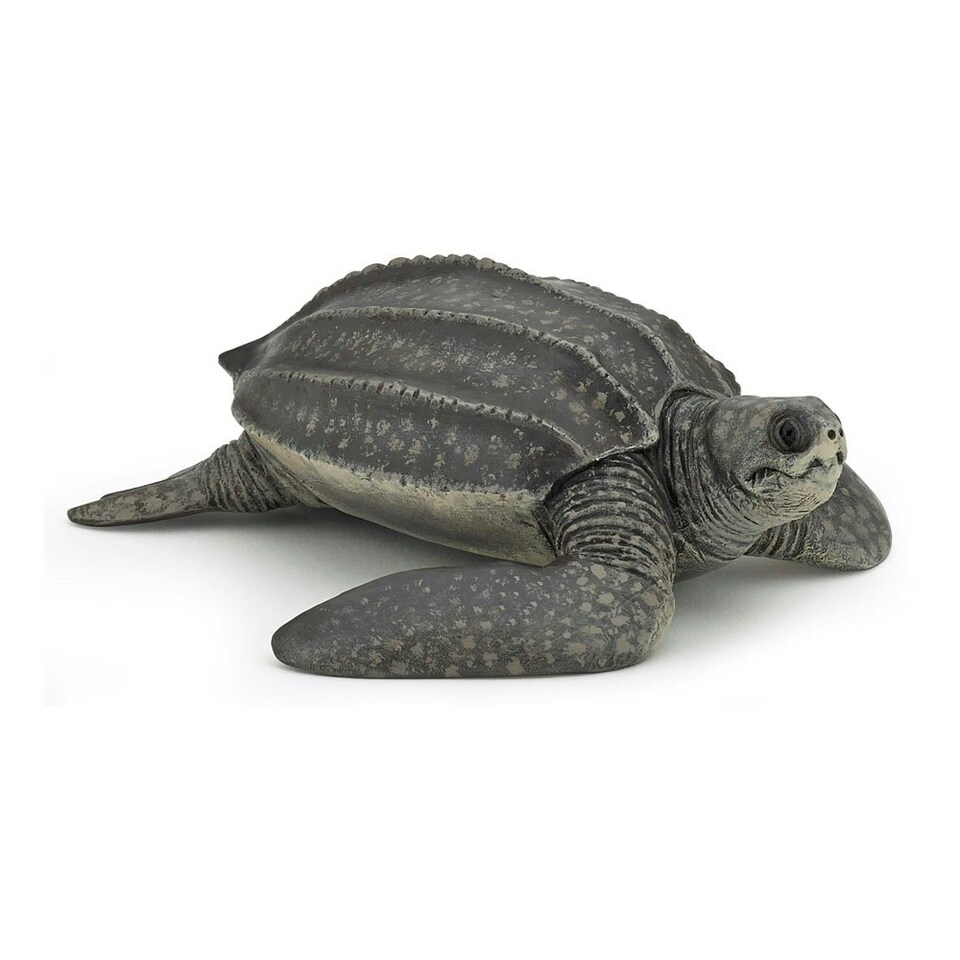 image 1 of PAPO Marine Life Leatherback Turtle Toy Figure