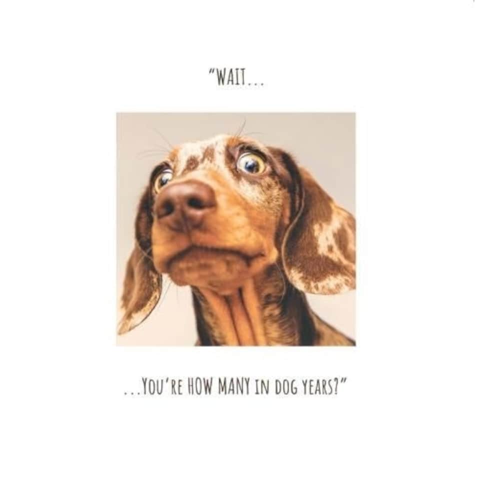 Click, Like & Share Birthday Card for Her, Wait You're How Many in Dog Years? Female Birthday Card, Funny Birthday Card for her