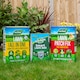 image 2 of Westland Ultimate Lawn Rescue Bundle - 80sqm bundle includes 80smq Aftercut All in One, 32 Patch Fix and 25sqm Gro Sure Smart Seed