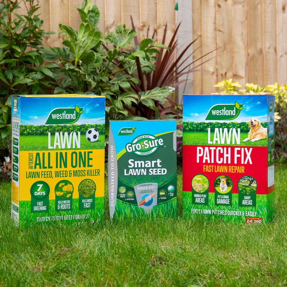 image 1 of Westland Ultimate Lawn Rescue Bundle - 80sqm bundle includes 80smq Aftercut All in One, 32 Patch Fix and 25sqm Gro Sure Smart Seed
