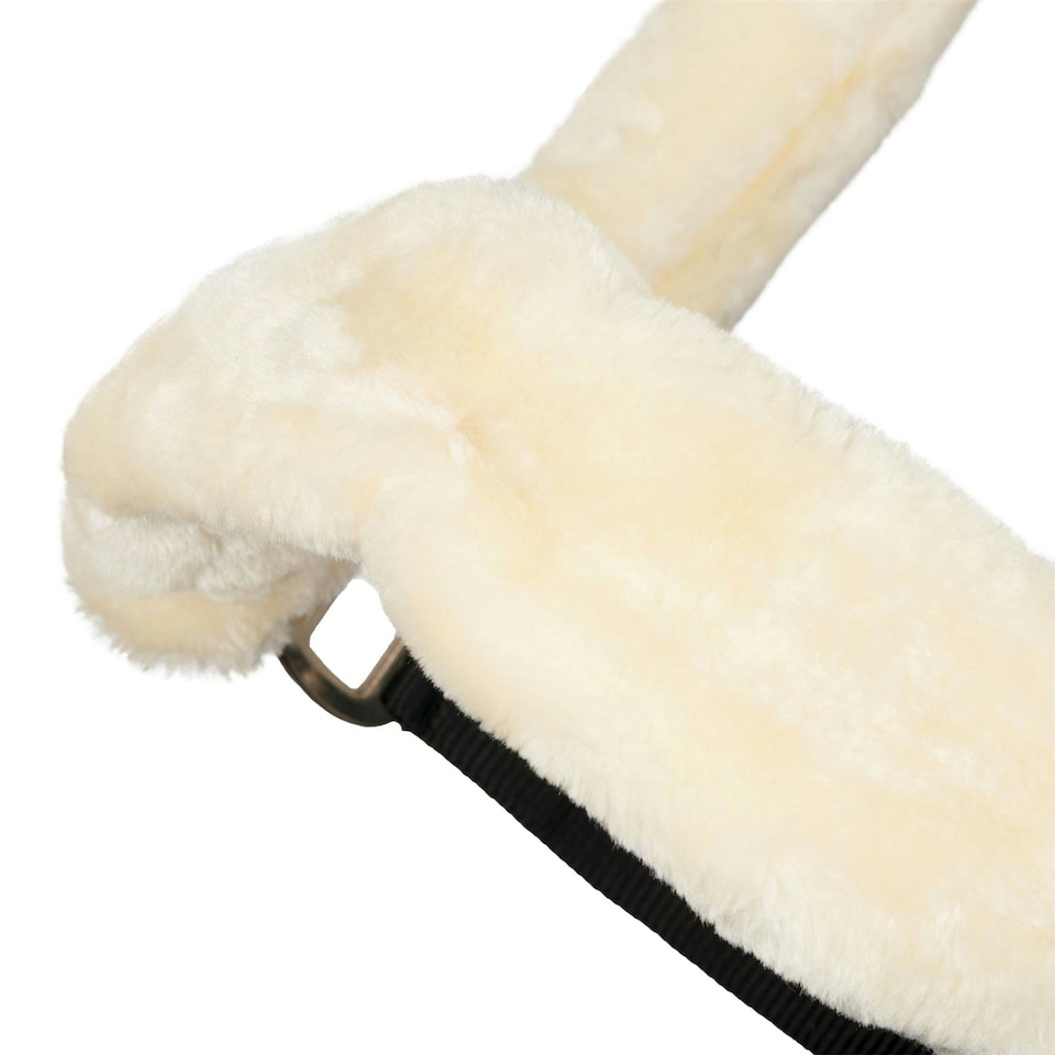 image 1 of LeMieux Comfort Headcollar Blue | X-Full