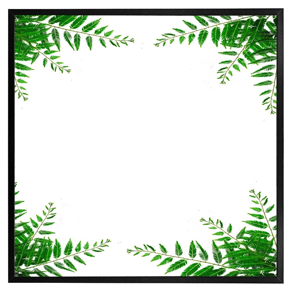 image 1 of Green botanicals (Picture Frame) Grey | XS