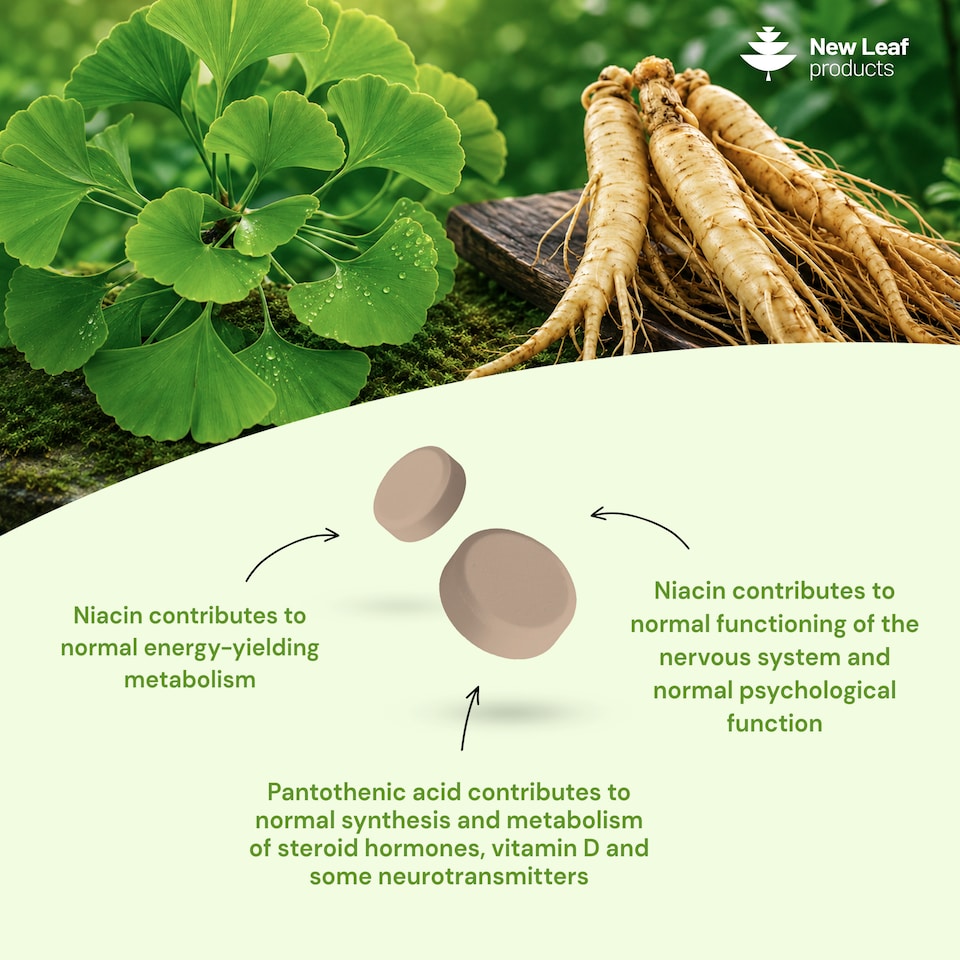 image 1 of Ginkgo Biloba & Panax Ginseng Tablets + Vit B3 & B5