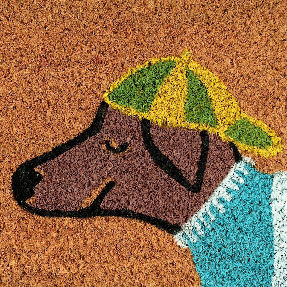 image 1 of KUKOON Spring Dog Coir Doormat 45cm x 120cm