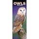 image 1 of Owls Slim 2026 Calendar | Slimline Wall Calendar | Bird Gift | Plastic Free Packaging | by Avonside Publishing [Calendar] Avonside Publishing Ltd