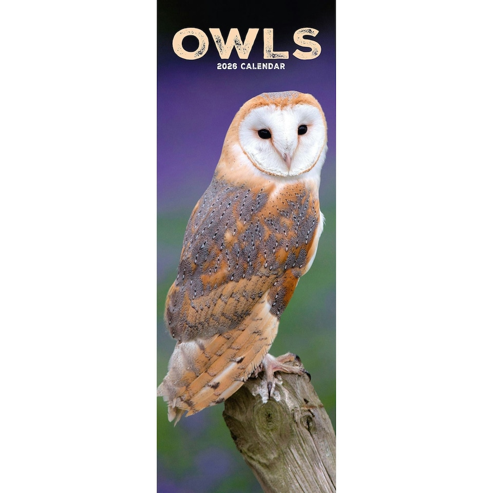 image 1 of Owls Slim 2026 Calendar | Slimline Wall Calendar | Bird Gift | Plastic Free Packaging | by Avonside Publishing [Calendar] Avonside Publishing Ltd