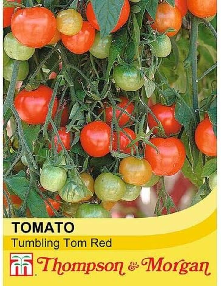 Tomato Tumbling Tom Red 1 Seed Packet (15 Seeds)