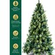 image 4 of 6FT Kentucky Pine Green Pencil Needle Tips Plain Bushy Artificial Christmas Tree | Green | Green
