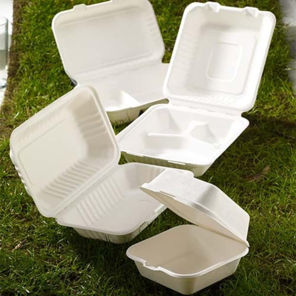 image 1 of White Compostable Bagasse 2 Compartment Takeaway Lunch Box 25cm - Pack of 25