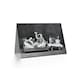 image 2 of Little Folk Animal Land Cats Dogs Art Card