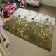 image 4 of Pampus grass plumes Slimbridge (Rug) Cream | L