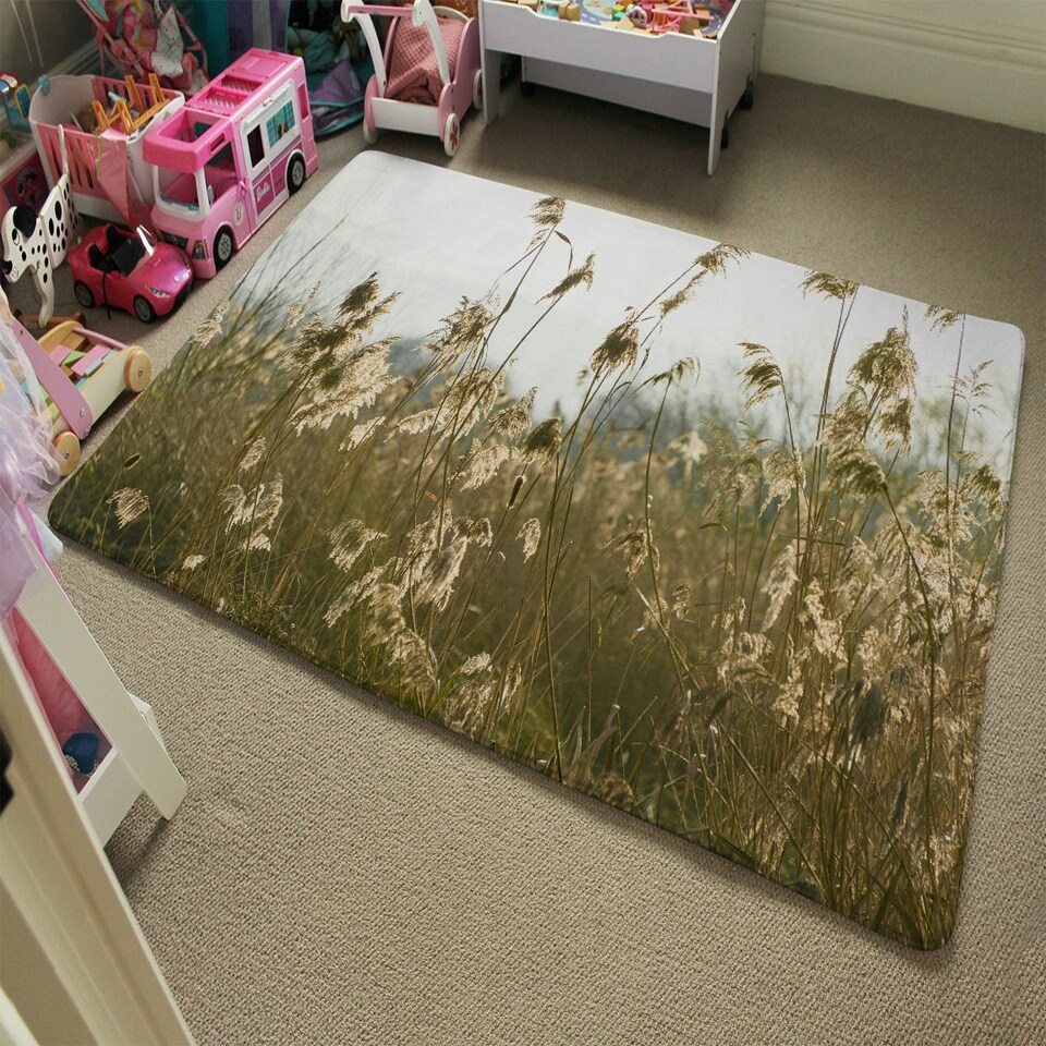 image 1 of Pampus grass plumes Slimbridge (Rug) Cream | L