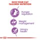 image 8 of ROYAL CANIN® Appetite Control Sterilised N/A | Size: 4kg
Breed: Adult