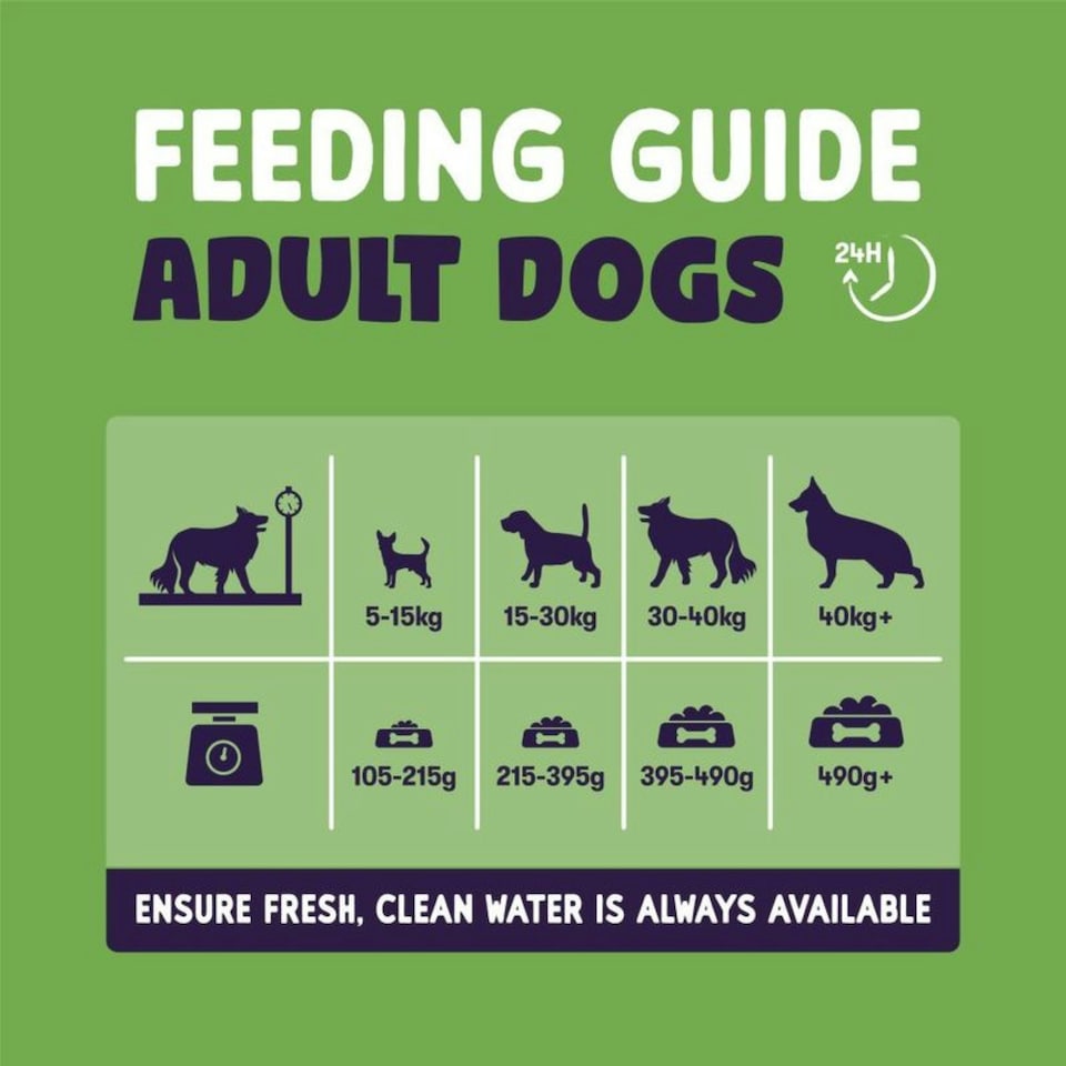 image 1 of Burgess Sensitive Adult Dog Lamb - 12.5KG