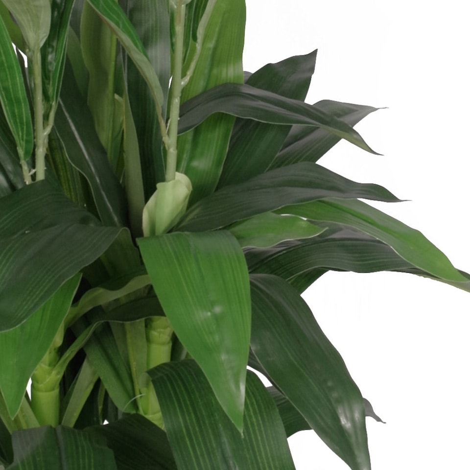 image 1 of Artificial 100cm Purple Cymbidium Orchid Plant - Extra Large