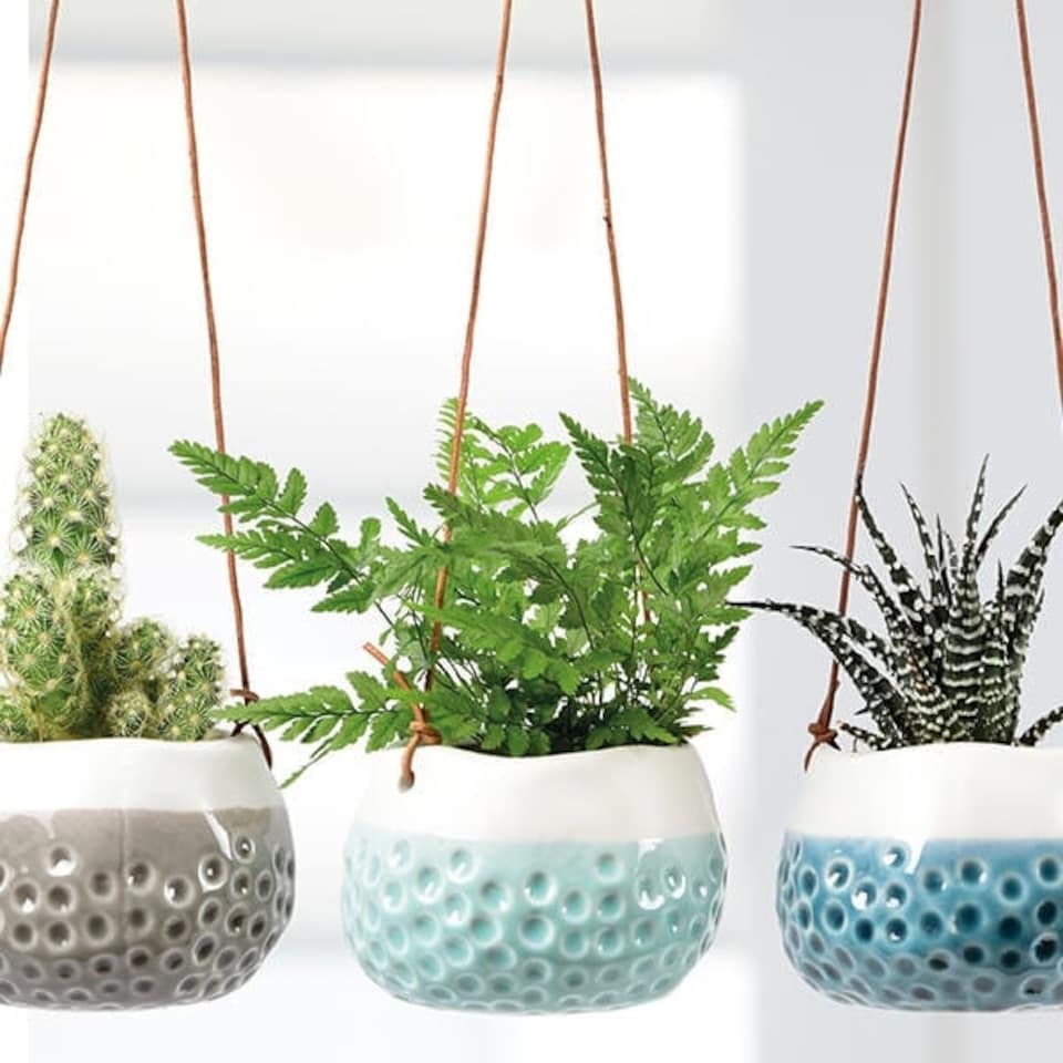 image 1 of Burgon & Ball Baby Dotty Trio Hanging Baskets Set