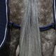 image 2 of Weatherbeeta Thermocell Standard-Neck Horse Cooler Rug - Navy/White - 6´