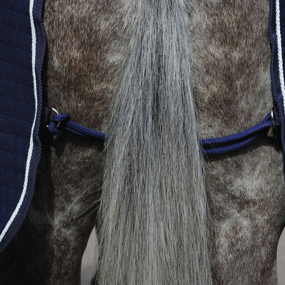 image 1 of Weatherbeeta Thermocell Standard-Neck Horse Cooler Rug - Navy/White - 6´