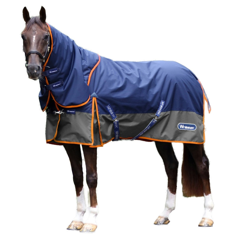 image 1 of Whitaker Rastrick V2 Combo Neck 250g Horse Turnout Rug - Navy/Grey - 6´ 0"