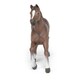 image 4 of PAPO Horse and Ponies Anglo-Arab Mare Toy Figure