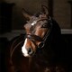 image 4 of LeMieux Kudos Patent Dressage Bridle White | Pony