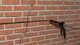 image 3 of BrickFix Helical Bar (10 x 1m Crack Stitching Bars for Masonry Repair) 304 Stainless Steel. For Use with BrickFix Grout