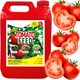 image 2 of 4 X 5L Tomato Feed Healthy Plant Feed Nutrient Packed For Peppers, Cucumbers, Tomatoes & Aubergines