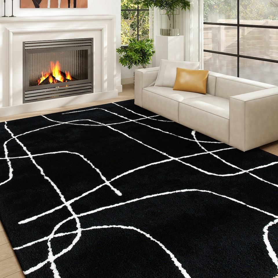 image 1 of HOMCOM High Pile Modern Shaggy Rug, Soft Floor Carpet 120 x 170 cm, Black Black